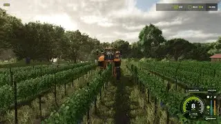 BIG HARVEST VINEYARD Riverbend Springs FS25 Timelapse Farming Simulator 25 Ep 5