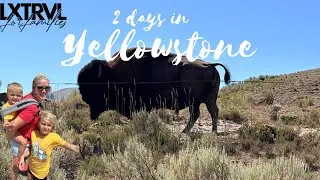 Exploring Yellowstone’s Grand Loop | Epic Family Adventure