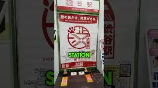 Где находится Station Stamp в Сибуе? #Сибуя #stamp
