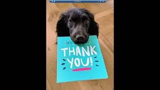 Thank you Message with some Advice | Fundamentals of Citrix Cloud  |