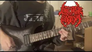 Intestine Baalism - Agony in the Stone Chamber (guitar cover)