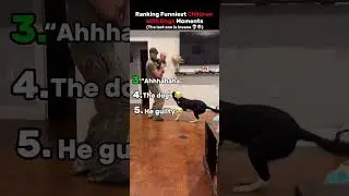 Ranking funniest children with dog moments