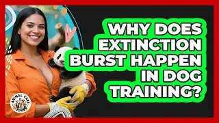 Why Does Extinction Burst Happen In Dog Training? - Animal Care Jobs