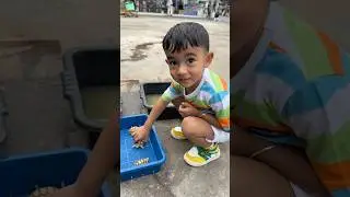 Taraksh Turtle🐢 Se Dar Gaya😢😳