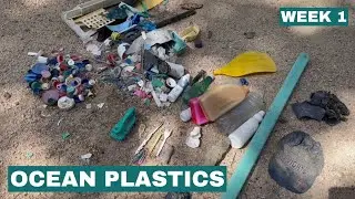 Ocean plastics