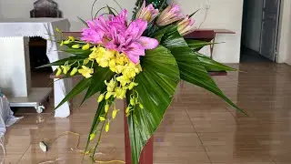 Cách xếp lá thiết mộc lan. Cắm hoa bục giảng