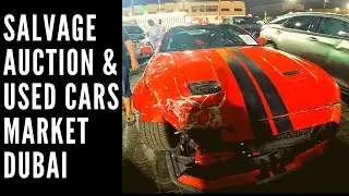 I VISIT A SALVAGE AUCTION AND A MARKET TO FIND USED CARS IN DUBAI!