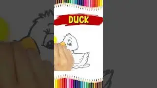 How To Draw A Duck | Duck Drawing And Coloring #drawing #duck #cutedrawing