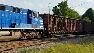 Empty unit centerbeam train at Penn, Michigan. June 17, 2018