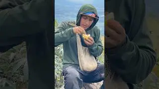 Nunca te lleves las frutas que est&eacute;n sembradas en el lindero o ahorilla del camino