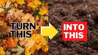 Using LEAVES To Make Potting Soil!?