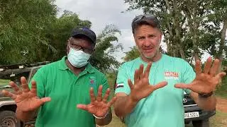 Rwanda Reforestation Project 2021