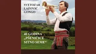 Radomirovo kolo