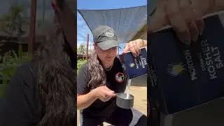 DIY Weed & Grass Spray - 3 ingredients! | 1 gal vinegar, 1 cup salt, 2-3 tbsp dishsoap