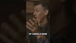 Fossils Are NOT a Result of Evolution