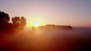 Groentetuin