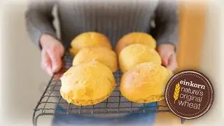 Einkorn Sweet Potato Rolls