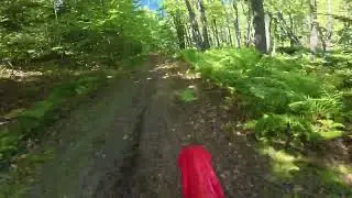 CRF 250 RX Trail Ride 