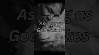 Trust God's Plan  #motivation #nevergiveup #ego  #fighter #fighting #successmindset