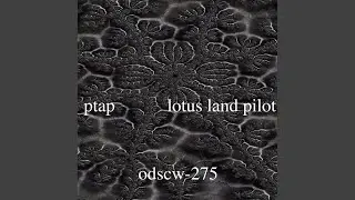 Ptap