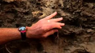 Jeff Tichota Talks About the Importance of Corn Root Structure at the Gothenburg Root Dig Challenge