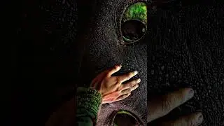 #youtubeshorts #animals #wildandbeautiful #viralvideo #snake