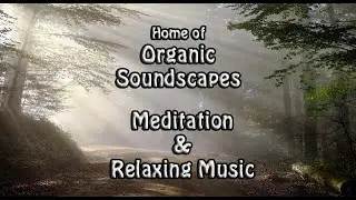 Organic Soundscapes Healing Meditation Relaxing Music.