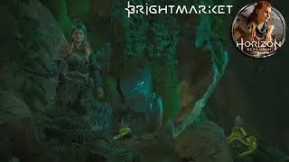 Let's Play Horizon Zero Dawn - Brightmarket