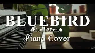 Beautiful Piano Cover of 'Bluebird' by Alexis Ffrench