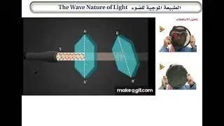 الطبيعة الموجية للضوء - استقطاب الضوء - سرعة الموجات الضوئية 