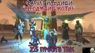Neverwinter. Op tank farm Zariel  или фарм Зариэль просто так.
