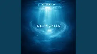 Currents of the Inner Sea