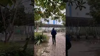 BBAU campus| short video| #lucknow #bbau #central #explore #university #trending