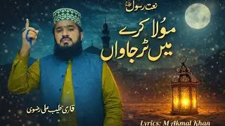 Moula Kary Mai Tur Jawan Beautiful New Naat 2026 | Qari Tayyab Ali Rizvi | Bao G studio