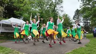 Chelmsford Morris 'Broads in Green' at Moulton Village Festival