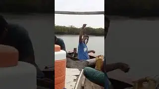 mangroves fishing in Karachi Pakistan and hunting bottom