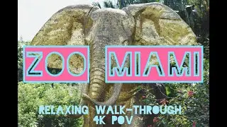 Zoo Miami Relaxing Walk-Through 2021 in 4K