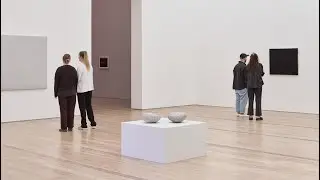 Vija Celmins Teaser