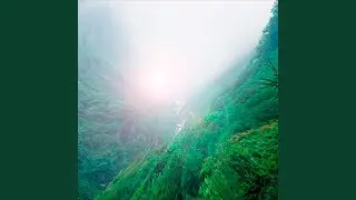 OCEAN WINDS