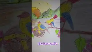 easy bird drawing\how to  draw bird #birds sparrow colour drawing #drawingbirds #wildlifedrawing