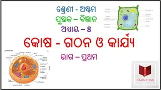 Class 8, Cell - Structure and Function, Part 1, Science, Chapter 8