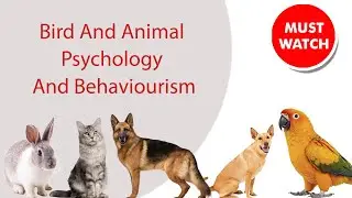 Bird And Animal Psychology And Behaviorism  @santanubirdscare