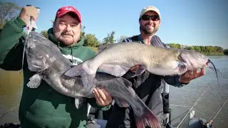 Modern Catfishing &mdash; Angling Edge TV