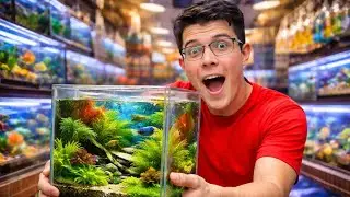 Arme un HABITAD para peces en el MERCADO DE PECES