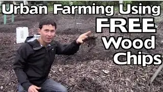 Urban Farming Using Wood Chips to Create the Best Organic Fertilizer