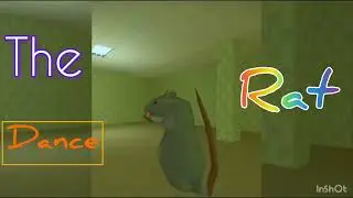 THE RAT DANCE COMPILATION