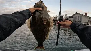 Solo Bay Session For Halibut, White Seabass and Spottys
