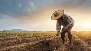 Easy technique for installing plastic mulch-Agriculture farming 
