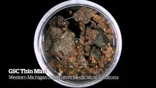 2014 HIGH TIMES Michigan Medical Cannabis Cup Entries Part 1