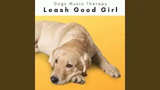 Soft Noise for Cuddly Puppy